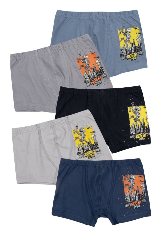 DomiKids Erkek Çocuk Boxer 5'Li Paket