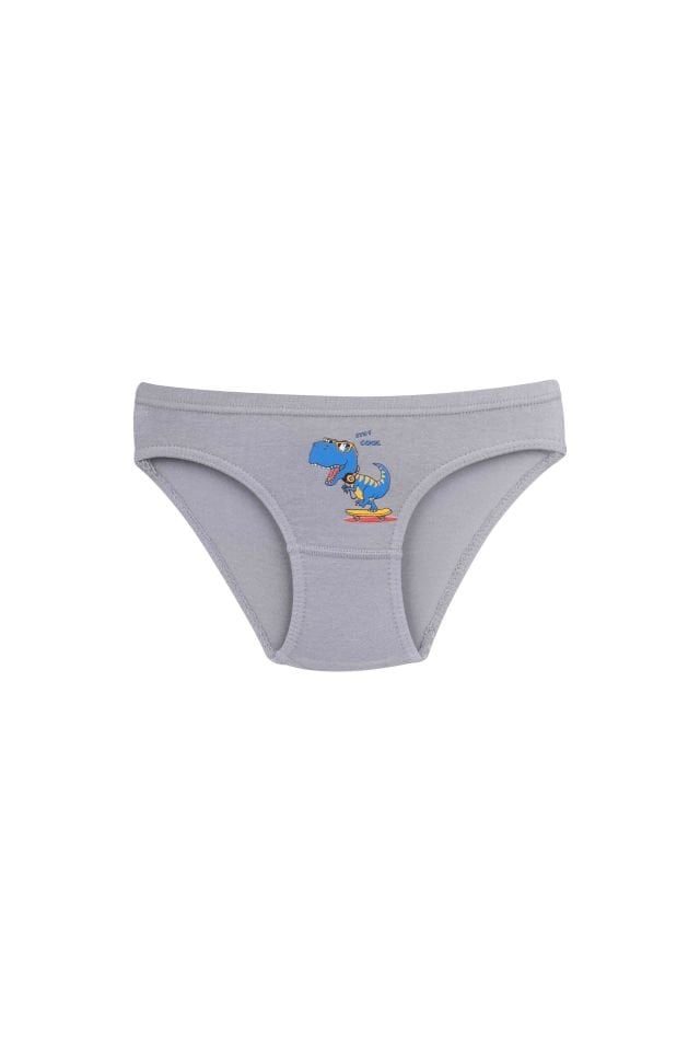 ERKEK ÇOCUK-ÇAMAŞIR - 3'LÜ SLIP