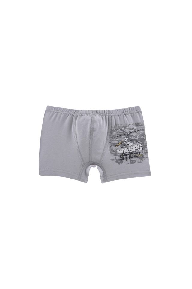 DomiKids Erkek Çocuk Boxer 5'Li Paket
