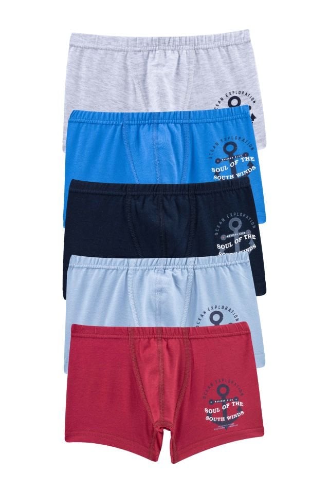 DomiKids Erkek Çocuk Boxer 5'Li Paket