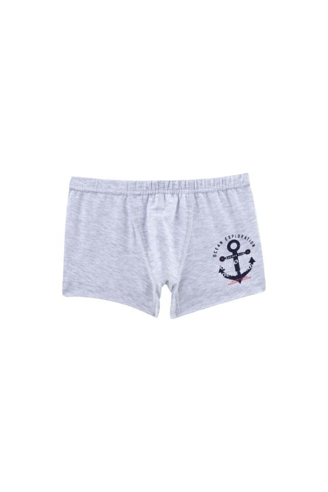 DomiKids Erkek Çocuk Boxer 5'Li Paket