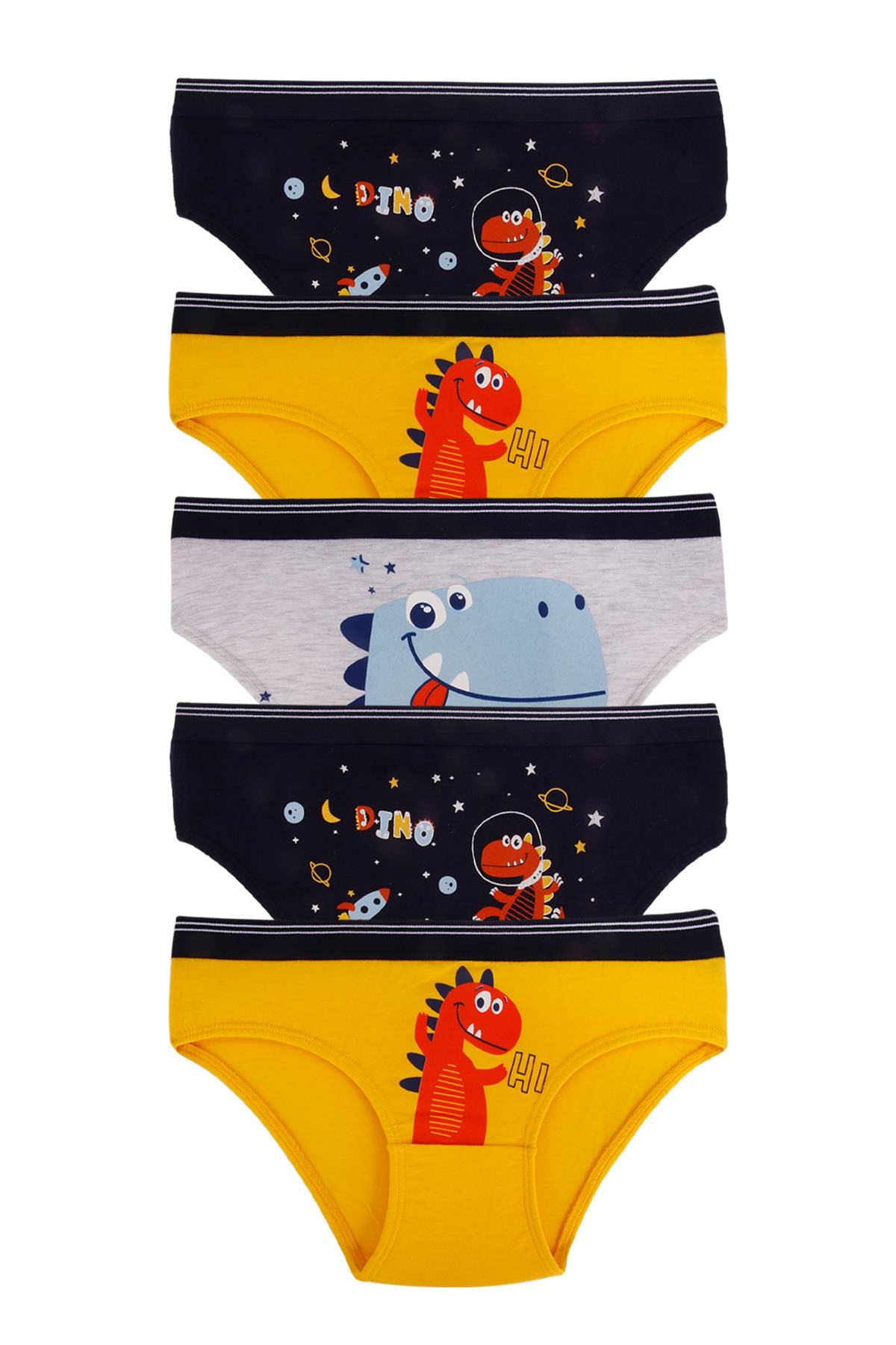 DomiKids Erkek Çocuk Külot 5'Li Paket
