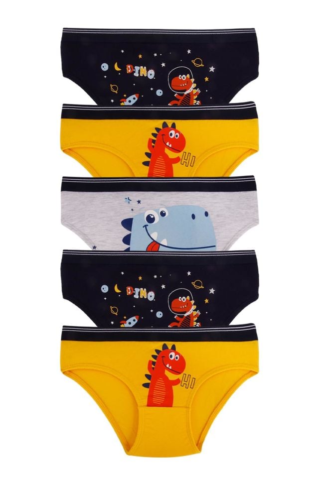 DomiKids Erkek Çocuk Külot 5'Li Paket