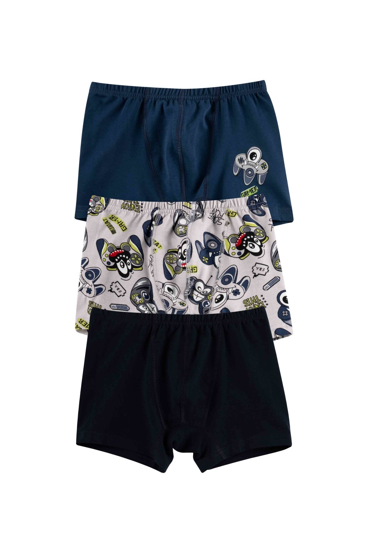 DomiKids Erkek Çocuk Pamuklu  Boxer 3'Lü Paket