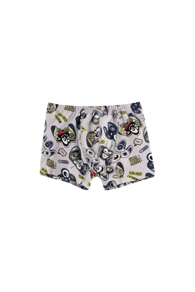 DomiKids Erkek Çocuk Pamuklu  Boxer 3'Lü Paket