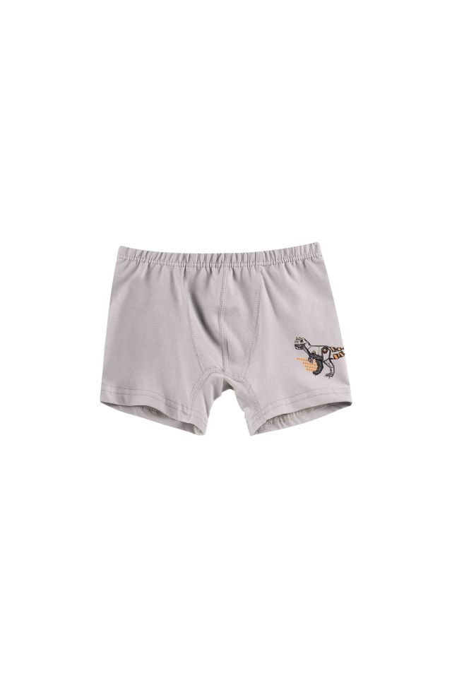 DomiKids Erkek Çocuk Pamuklu  Boxer 3'Lü Paket