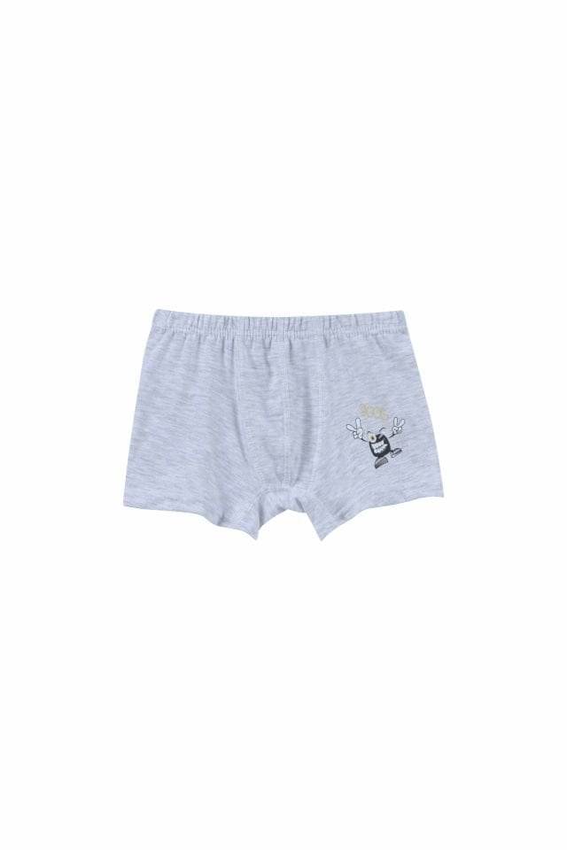 DomiKids Erkek Çocuk Pamuklu  Boxer 3'Lü Paket