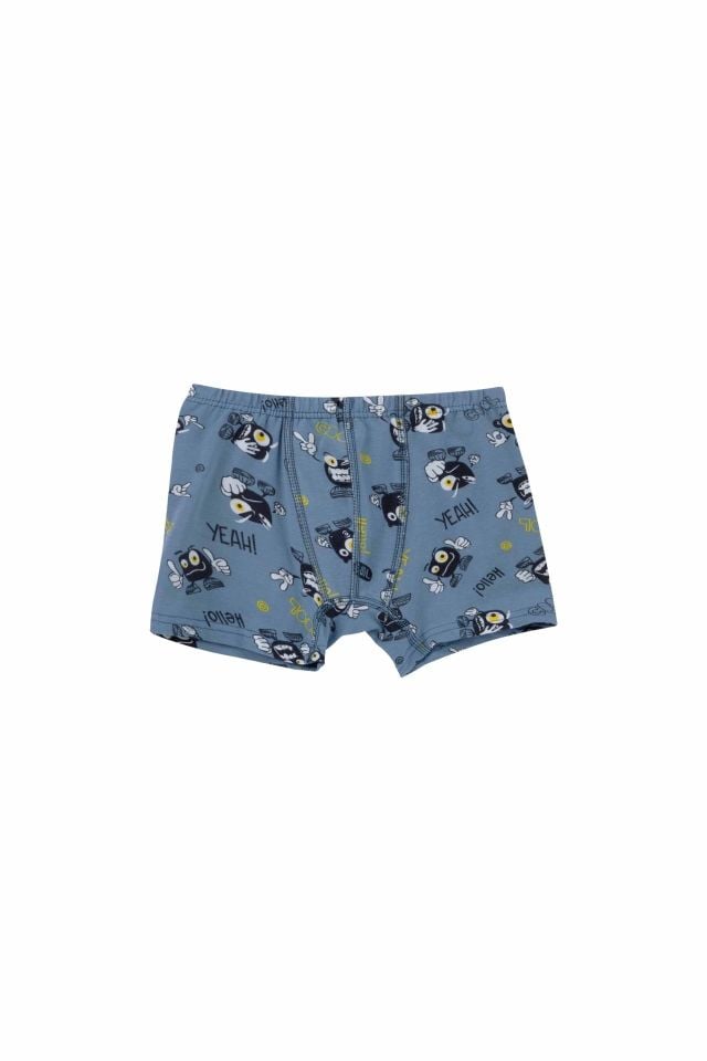 DomiKids Erkek Çocuk Pamuklu  Boxer 3'Lü Paket