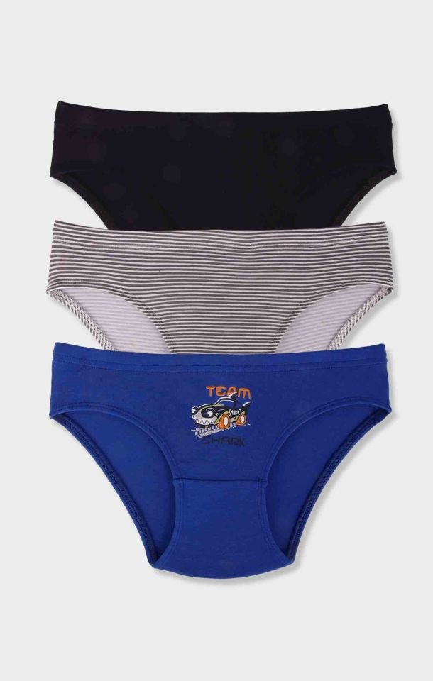 Erkek Çocuk Pamuklu Külot 3'Lü Paket
