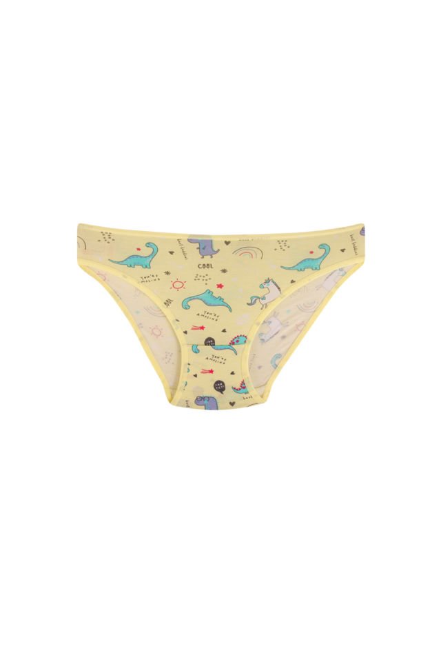 DomiKids Kız Çocuk Pamuklu Külot 2'Li Paket